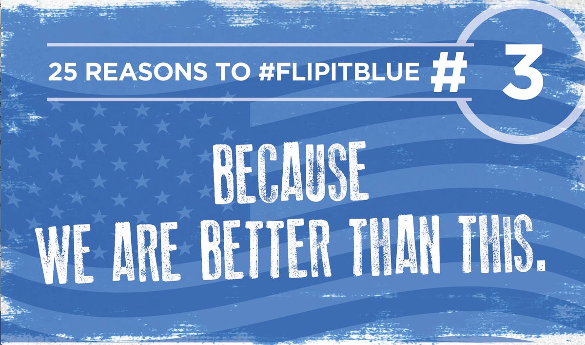 Plain. And. Simple. #FlipitBlue #Vote