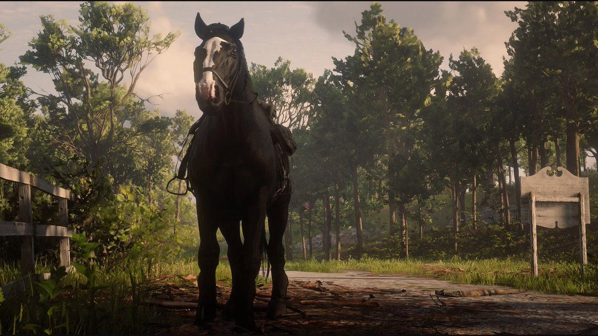 Brown Shire Horse Rdr2