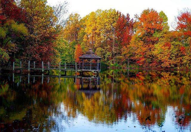BishopCosplay's tweet photo. The colors are here!
#dmvphotography
#dmvphotographer
#fall
#fallfoliage
#fallfoliage2018
#autumn
#photography
#photographer
#photooftheday
#fallphotography https://t.co/0ubIU7a5CC https://t.co/bHCJ4Qhmyp