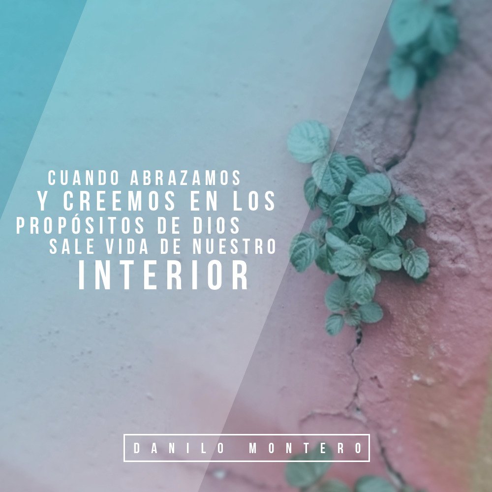 DANILOMONTERO_'s tweet photo. Cuando abrazamos los propósitos De Dios, hay vida que brota de nuestro interior #ComoManejarLasTransiciones https://t.co/K1HpXqqjq6 https://t.co/jLHkPnNRu8