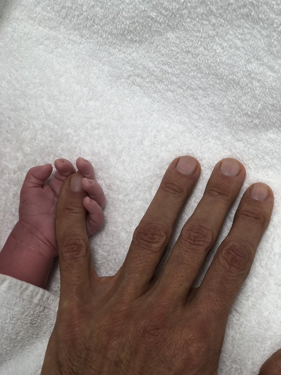 John Battsek ⭐️⭐️💙💛 tweet media