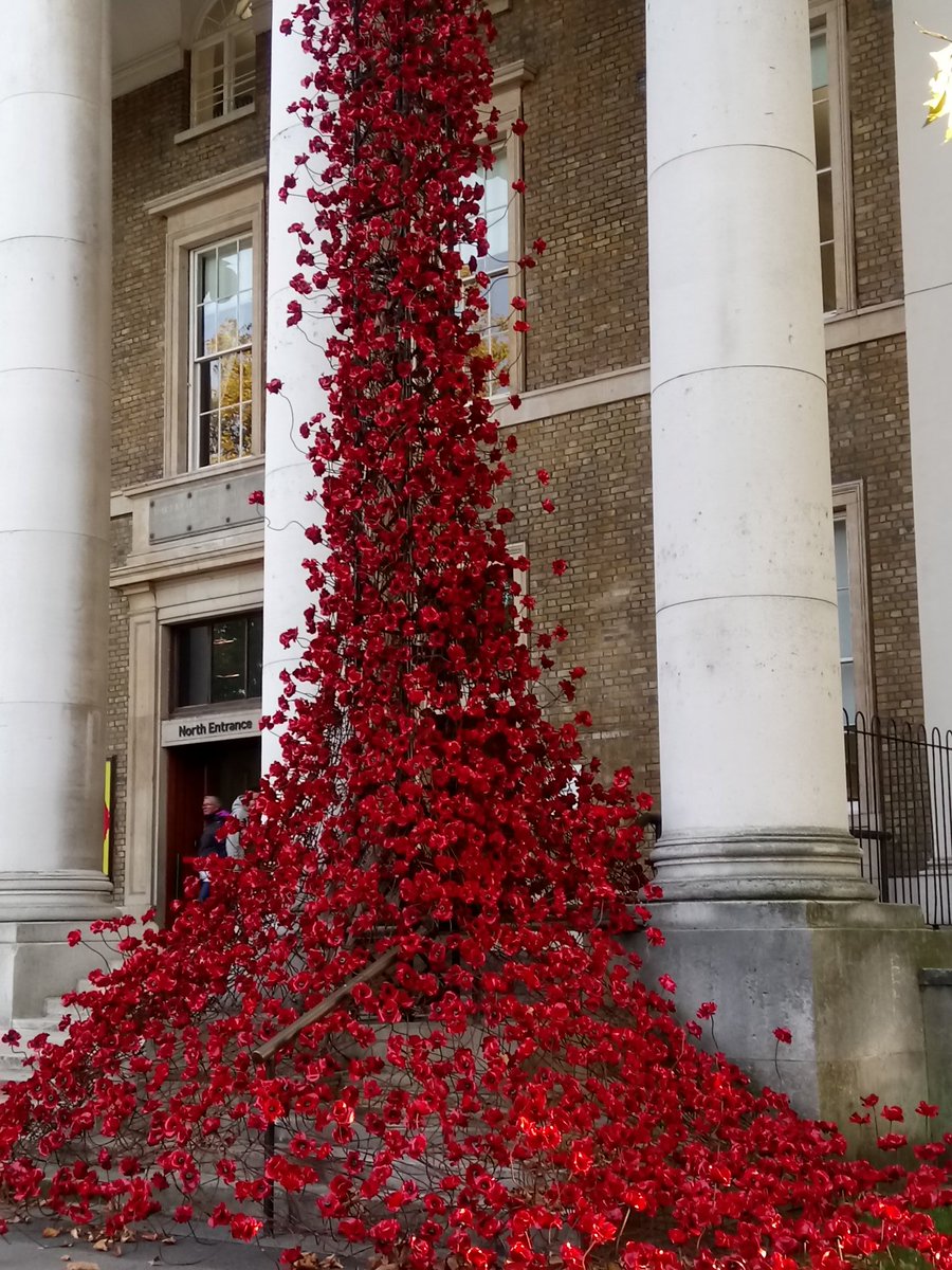 Goretti Doolan tweet media