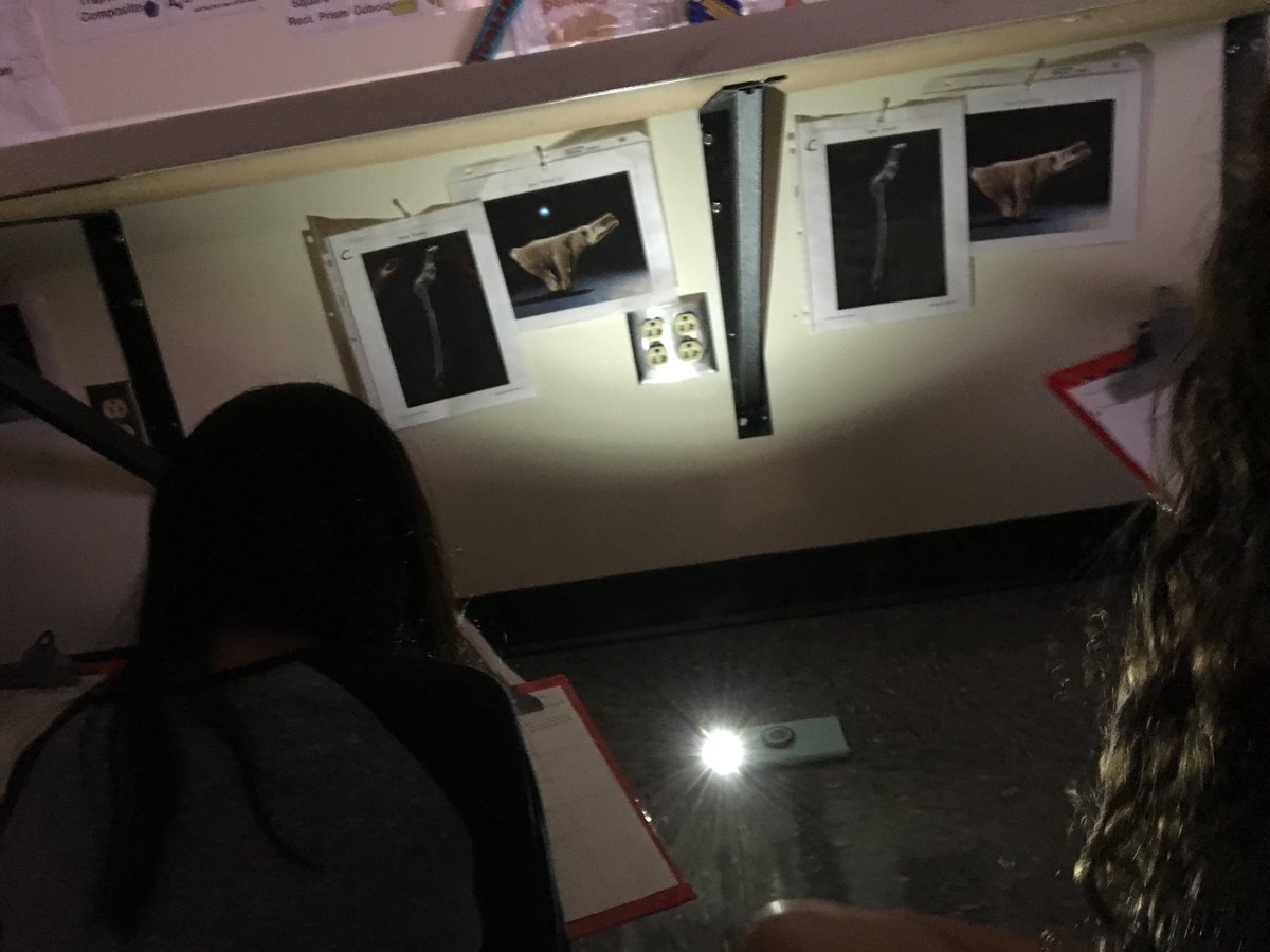 Amosbeech's tweet photo. We were archaeologists today and explored ancient cave art! #charlespmurray #cavesoundsareawesome https://t.co/SLSA9OLnL2