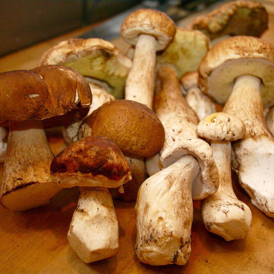 ilpiatto175's tweet image. おかげさまでイルピアットカチャトラ、11月1日でオープン19年目突入いたしました！より美味しいお料理、そして心を込めたサービスを目指して精進して参りたいと思っております
#ilpiattocacciatora 
#ilpiatto #cacciatora
#イルピアットカチャトラ
#イルピアット #カチャトラ
#三軒茶屋 #三茶