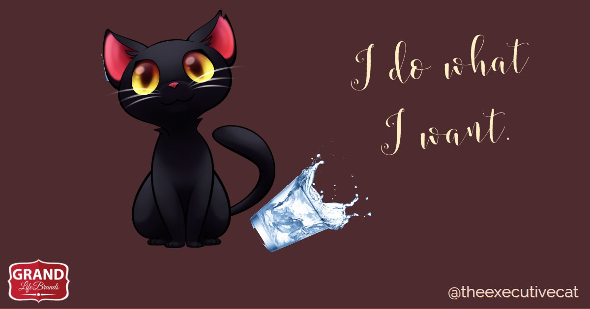theexecutivecat's tweet photo. Have a great #weekend #catlovers! 🐱🐱🐱 https://t.co/8q37DA7TCX