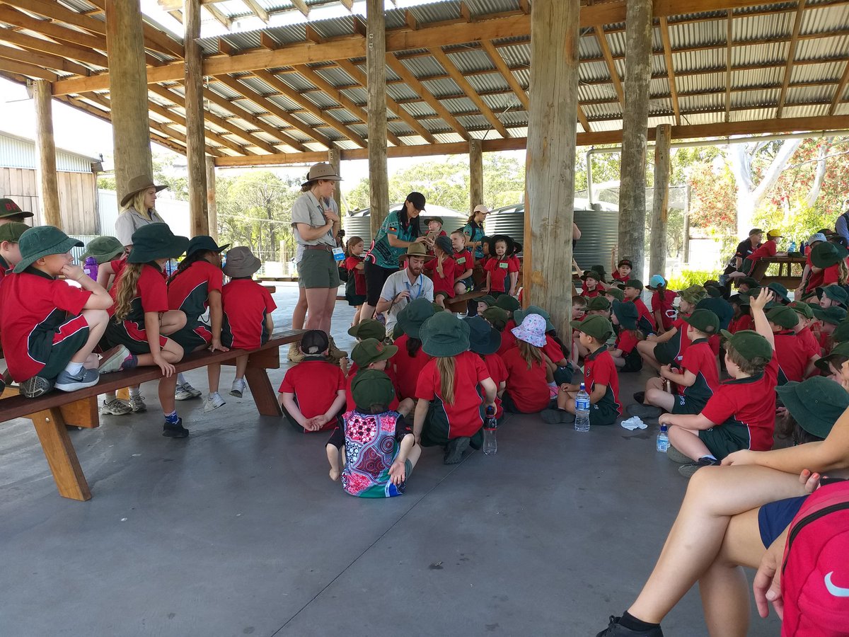 Kindergarten @BradburyPS enjoyed a visit to Symbio