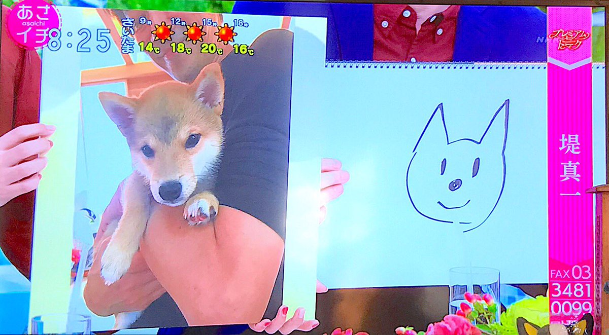 harucyai1's tweet photo. 堤真一が描いた愛犬豆柴ゴンちゃん

#あさイチ https://t.co/Kj7TRm2qpJ