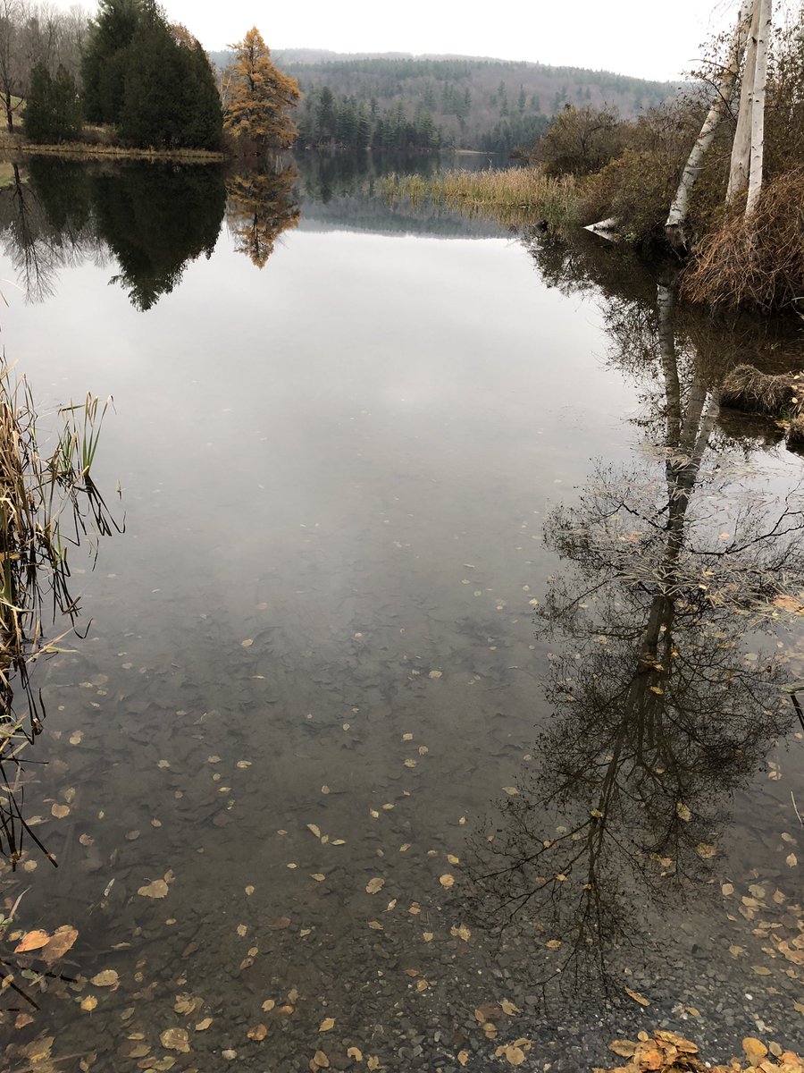 ThisIsVT's tweet photo. A beautiful reflection on Silver Lake in Barnard today.
๐ธ @chipallenphoto1
.
.
#REFLECTION #reflect #thegreatoutdoors @VTStateParks #silverlake #barnardvt #calm #lakelife #autumn #November1st https://t.co/YD2PQQEG93