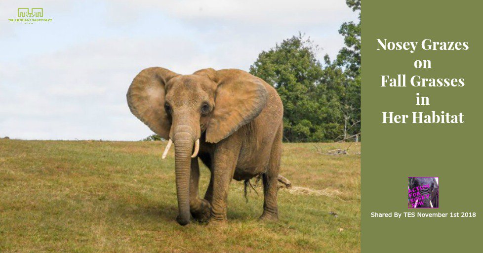 ActforNosey tweet picture