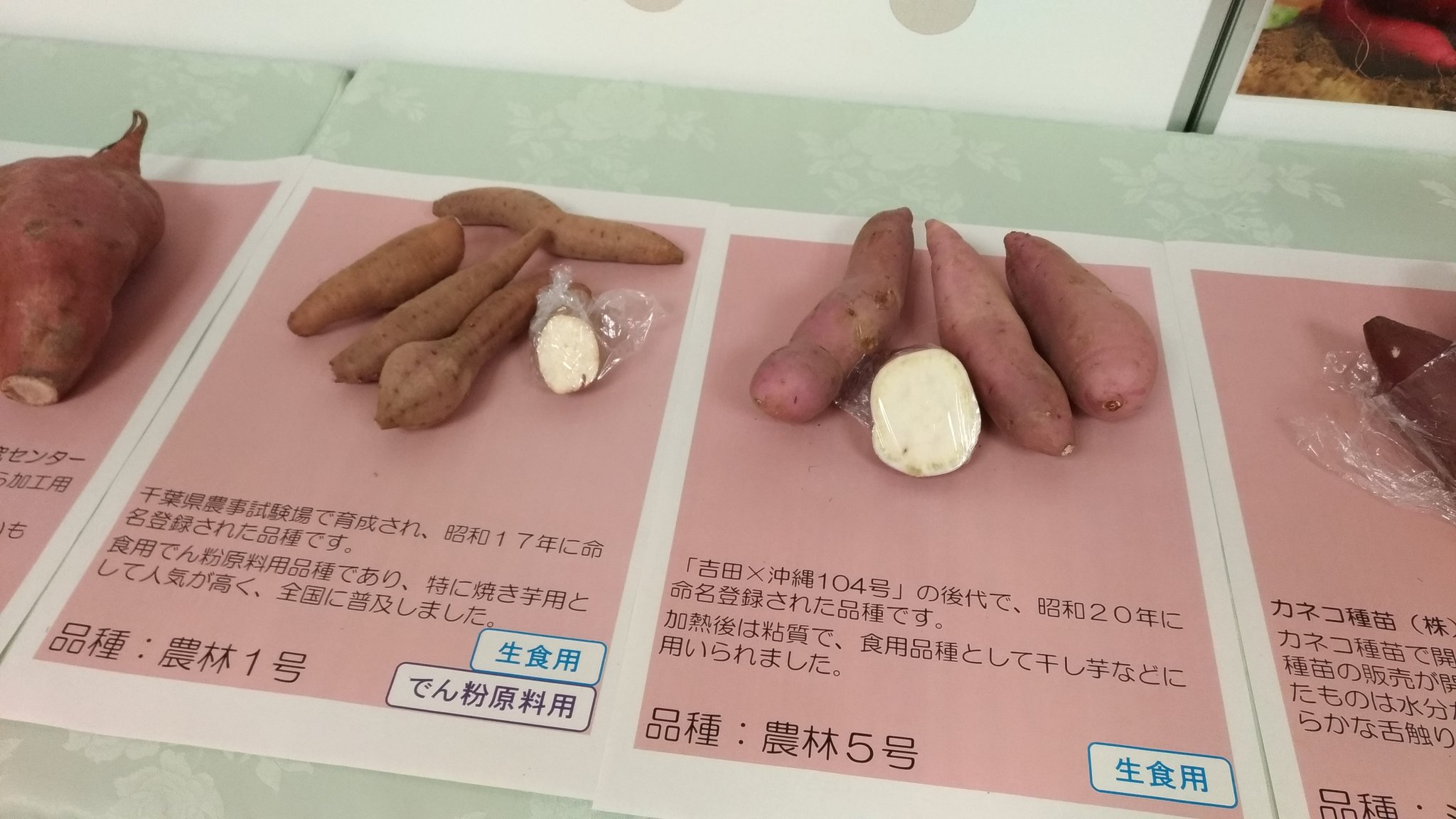 さつまいもオタク 橋本亜友樹 Twitter પર なかなか時間が取れず最終日になってしまいましたが 農林水産省の消費者の部屋で開催中の さつまいも じゃがいも週間 の展示を見てきました 展示物のうち 農林1号と5号は弊社の畑で採れたものですが あんまり良いイモ さつまいもオタク 橋本亜友樹 Twitter પર なかなか時間が取れず最終日になってしまいましたが 農林水産省の消費者の部屋で開催中の さつまいも じゃがいも週間 の展示を見てきました 展示物のうち 農林1号と5号は弊社の畑で採れたものですが あんまり良いイモ