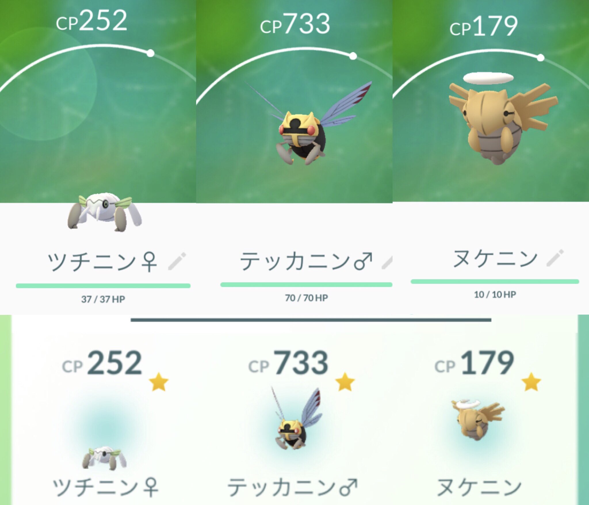 تويتر ひかぴか على تويتر ニンニンニン揃いました ポケモンgo Pokemongo ツチニン テッカニン ヌケニン T Co Ehhdefevuq