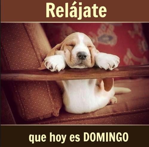 coloreteshop's tweet photo. Buenos días!!! https://t.co/BhG98pCV7r