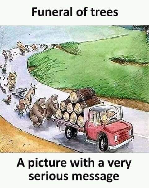 Gangurde_SS's tweet photo. We all like to live in big house with well furnished interior, Why dont we think about the lives of these innocents? Serious message from picture #avoiddeforestation protect them. @IPCC_CH @jai_amma @ICRISAT @CGIAR @arvindpadhee https://t.co/rwJeGTApZ3
