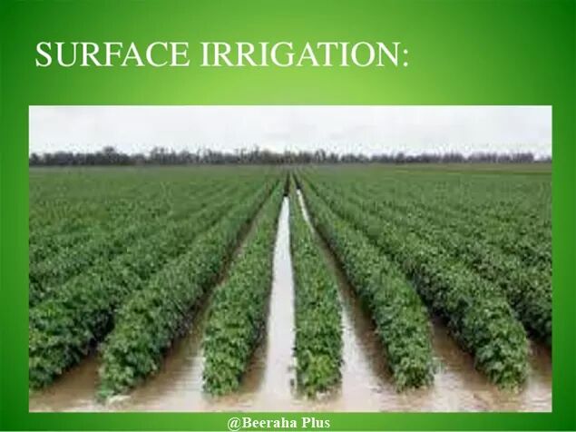 BeerahaPlus's tweet image. 4 Types of Irrigation Systems:

These are 4 different types of irrigation systems, depending on how the water is distributed throughout the field. 
#irrigation 
#dripirrigation
#sprinklerirrigation.
#knowledgetransfer 
@Shokridin252 
@Saidhuseniid 
@GEEL_Somali