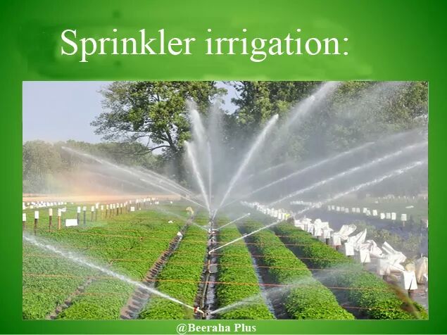 BeerahaPlus's tweet image. 4 Types of Irrigation Systems:

These are 4 different types of irrigation systems, depending on how the water is distributed throughout the field. 
#irrigation 
#dripirrigation
#sprinklerirrigation.
#knowledgetransfer 
@Shokridin252 
@Saidhuseniid 
@GEEL_Somali
