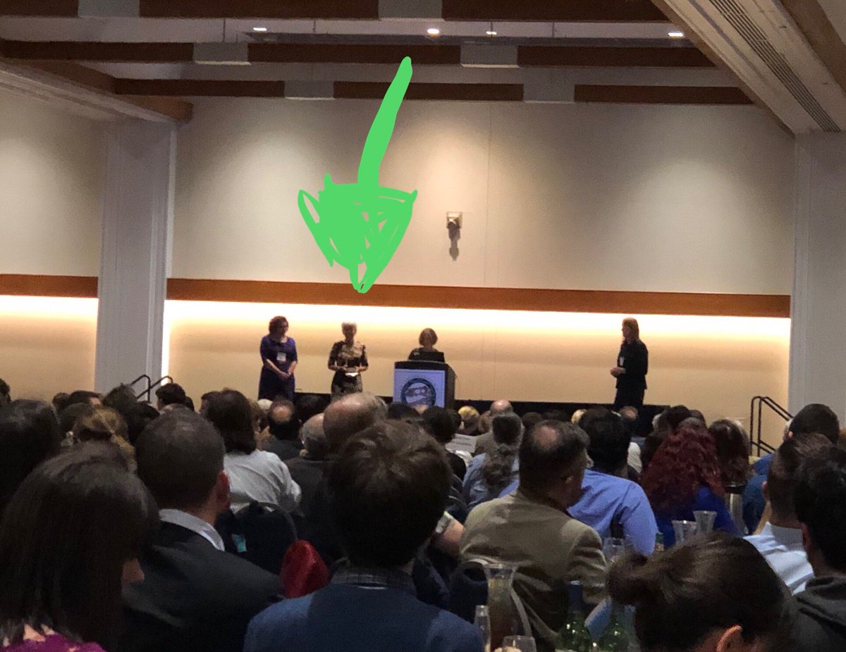 DrNeurosaurus's tweet photo. @SVP_vertpaleo #2018SVP Rome-Simpson Medal winner Kay Behrensmeyer, featured in #SheFoundFossils https://t.co/dDuJ1wBrnv
