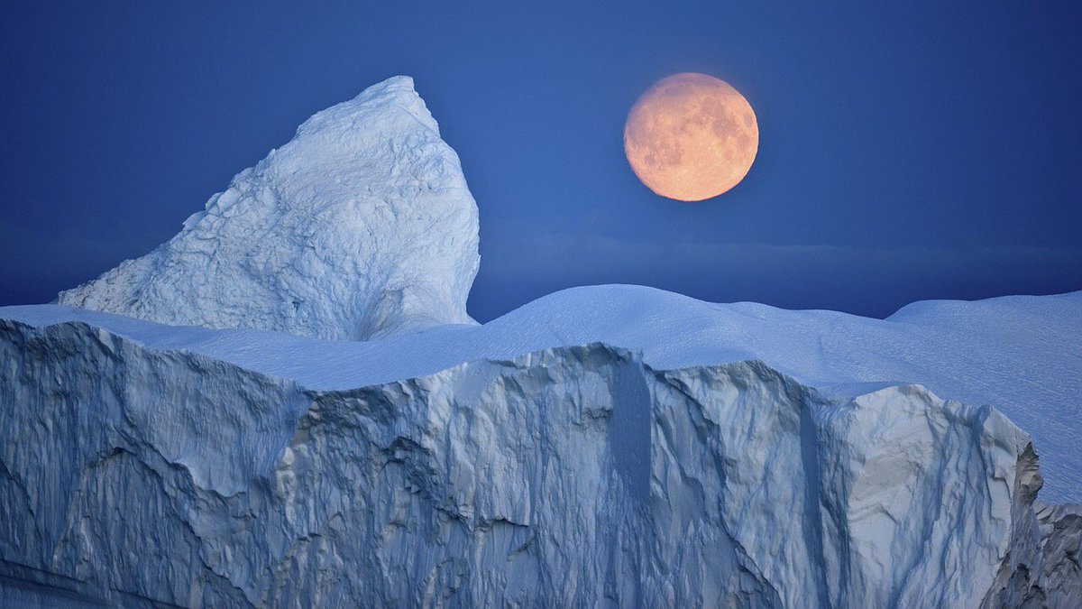 EcoAliados21's tweet photo. Cuando las plataformas heladas colapsan, el hielo puede fluir más rápido de la tierra al océano, lo que en últimas puede elevar el nivel de este cuerpo de agua https://t.co/toZJLEIaHl https://t.co/Fpmw2nRkzb