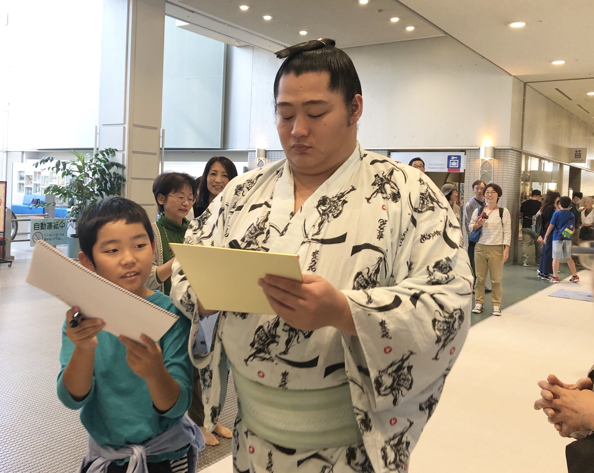 遠藤関の祖布 永谷園 反物 浴衣生地 大相撲