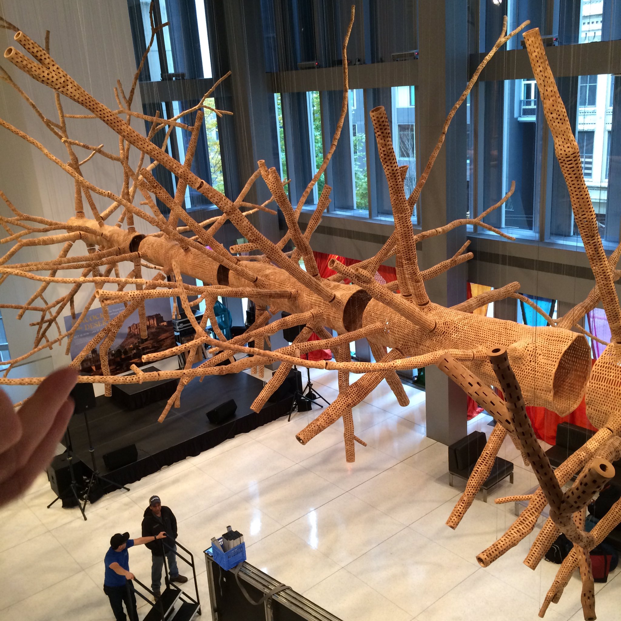 Hine Mizushima 水島ひね シアトル美術館のロビーに展示してあった木片を組み合わせて作ったどでかい木で 展示終わったら土に還すらしい 生きてるみたいに迫力あった I Love Seattle Art Museum Sam Seattle Seattleartmuseum Hine Mizushima 水島ひね シアトル美術館のロビーに展示してあった木片を組み合わせて作ったどでかい木で 展示終わったら土に還すらしい 生きてるみたいに迫力あった I Love Seattle Art Museum Sam Seattle Seattleartmuseum