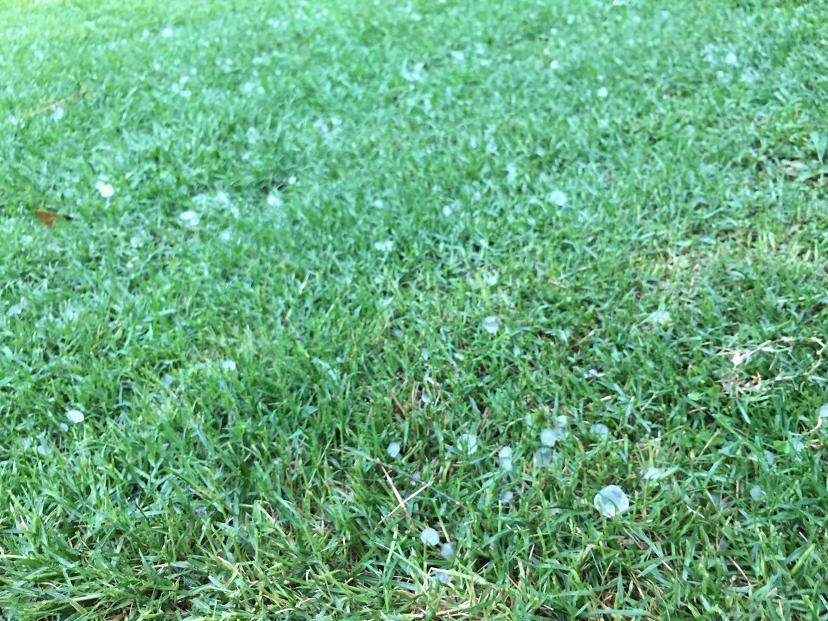 It's hailing at my parents' place at Carseldine #bnestorm #hail <a href="/abcbrisbane/">ABC Brisbane</a>