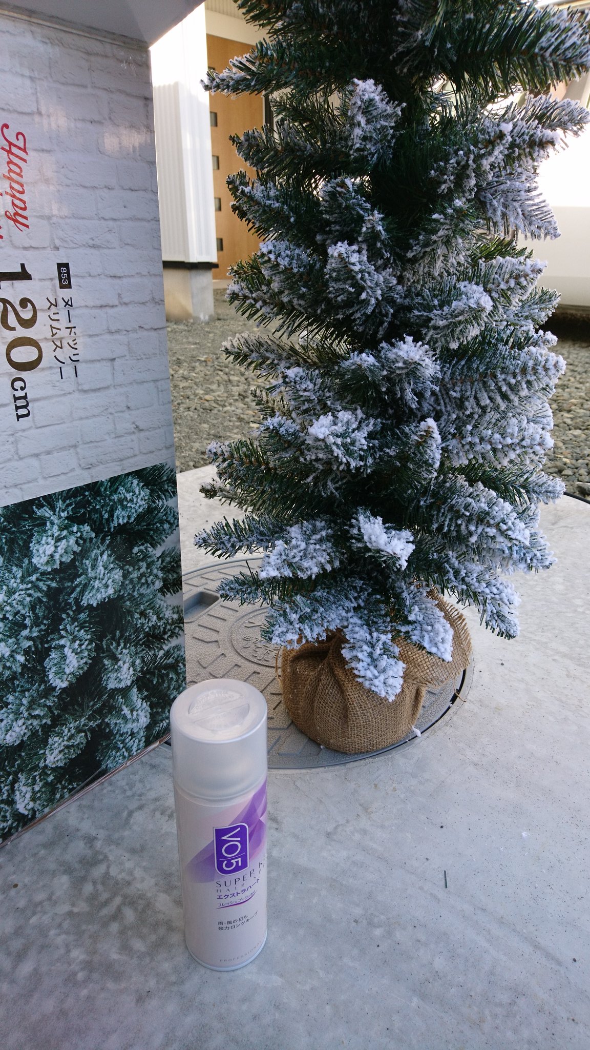 おか 新居に飾ろうと思ってニトリで買ったクリスマスツリー 箱を開けた瞬間に婿が これ ばぁやの天敵w と言うほど 雪の部分が散らかりまくる 今日はみんなお出掛けしてるので 外で箱から出して婿のヘアスプレーで固めてみた 笑 ニトリ