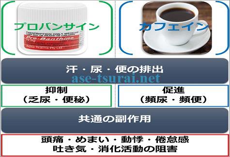 アセキュー Asecue みんなのq A 66 コーヒー飲み過ぎによる汗や臭い カフェインの副作用と汗 臭い対策 アセキュー 汗かき 多汗症 カフェイン コーヒー 中毒 汗 利尿効果 尿道結石 シュウ酸 骨粗しょう症 血液浄化療法 致死量 ノンカフェ アセキュー Asecue みんなのq A 66 コーヒー飲み過ぎによる汗や臭い カフェインの副作用と汗 臭い対策 アセキュー 汗かき 多汗症 カフェイン コーヒー 中毒 汗 利尿効果 尿道結石 シュウ酸 骨粗しょう症 血液浄化療法 致死量 ノンカフェ