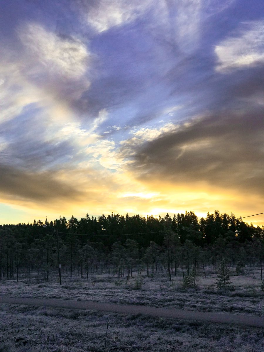 Crispy cold and absolutely beautiful morning #Sunrise #Sunrise_sunsets_aroundworld #sunriseavenue #sunrises #Earlymorning #Beautifulview #Morning #Amazingview #Sun #Sky #Skyporn #Cloudporn #Horizon #Nature #Naturelovers #Instasunrise #Scenery #Landscape #Instasky #Orange