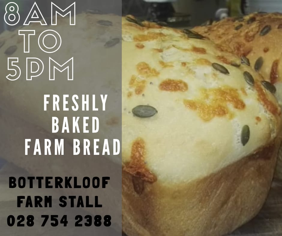 Botterkloof Resort tweet media