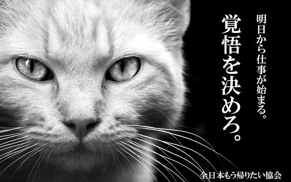 全日本もう帰りたい協会さん の人気ツイート 8 Whotwi グラフィカルtwitter分析 全日本もう帰りたい協会さん の人気ツイート 8 Whotwi グラフィカルtwitter分析