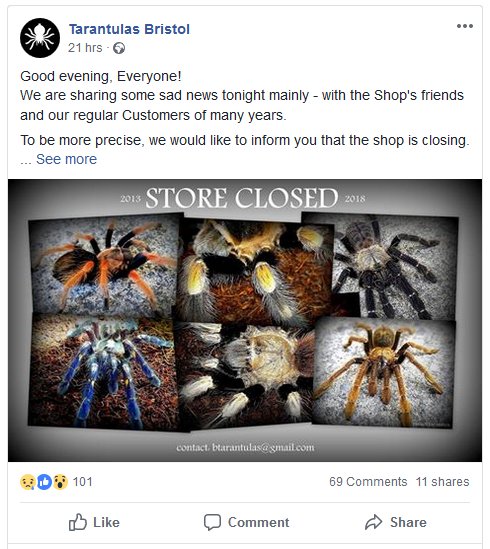 Tarantulas Bristol tweet media