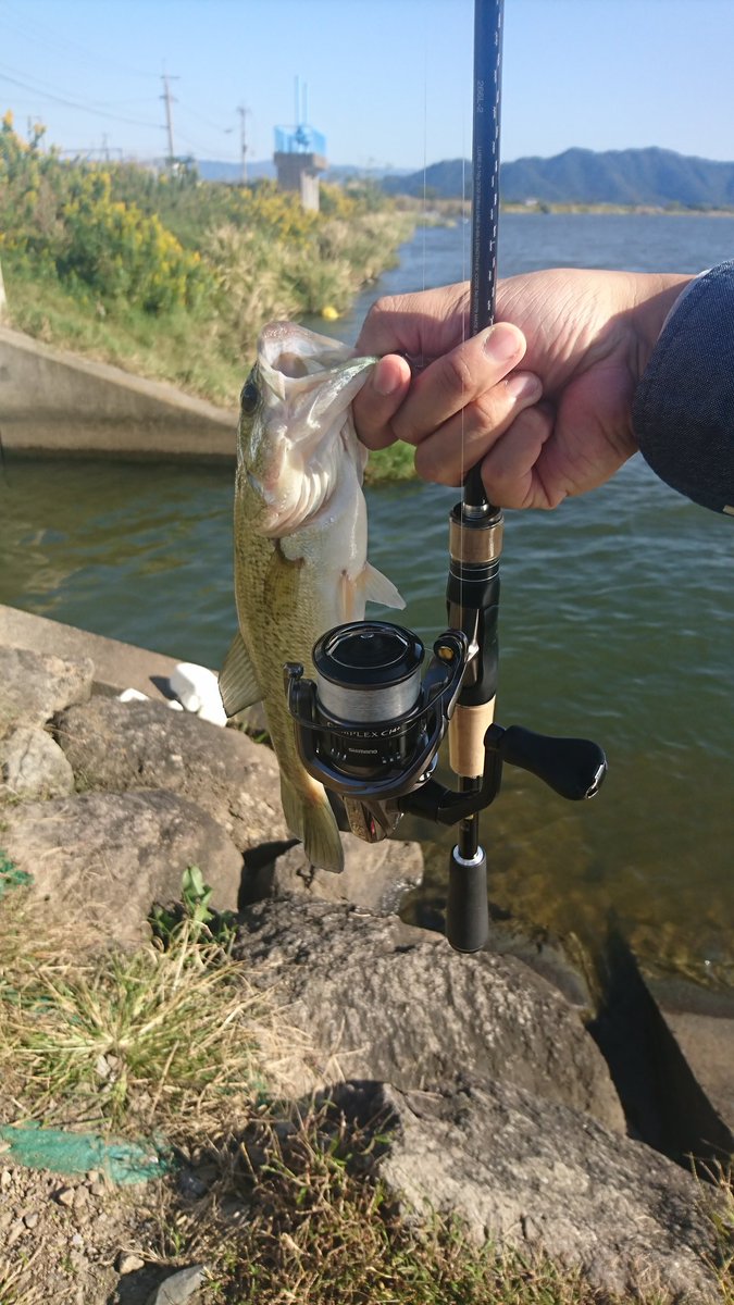 Bullfishing 昨日買ったコンプレックスci4 入魂完了 Zbcスワンプクローラー バス釣り バスフィッシング 琵琶湖 西の湖 居庭内湖 シマノ コンプレックスci4 入魂 俺釣り写真部 Zbc スワンプクローラー ネコリグ Goprojp Gopro 釣り動画 Bullfishing 昨日買ったコンプレックスci4 入魂完了 Zbcスワンプクローラー バス釣り バスフィッシング 琵琶湖 西の湖 居庭内湖 シマノ コンプレックスci4 入魂 俺釣り写真部 Zbc スワンプクローラー ネコリグ Goprojp Gopro 釣り動画