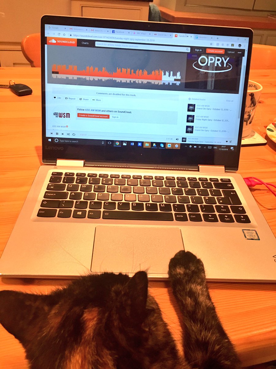 Toastthecat's tweet photo. Helping mum with her laptop
#laptop
#lapcat
#cat
#grandoleopry
#unwantedhelp https://t.co/9eRG5yEc0l