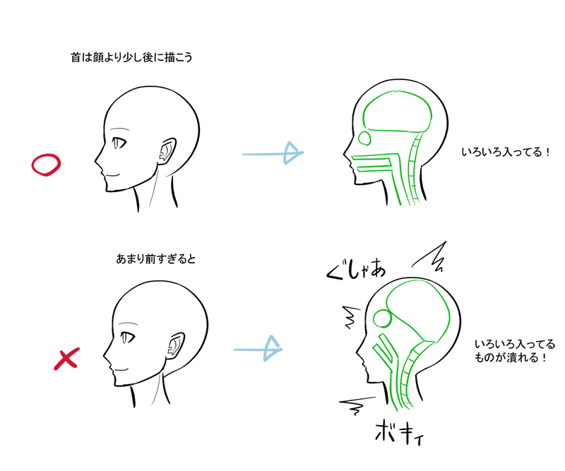 ichiup_net's tweet photo. 頭の幅：首の幅は2：1が標準的💡

https://t.co/0NEOaFhFye  
#絵が上手くなる記事はコレ https://t.co/ObwnxBeuOp https://t.co/2EXpmSNdIz