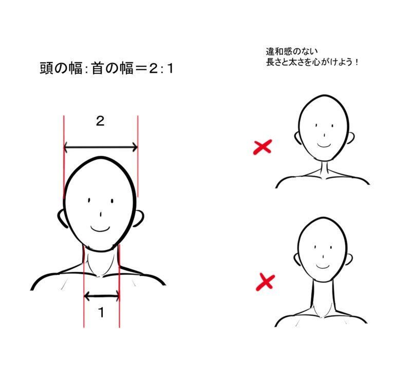 ichiup_net's tweet photo. 頭の幅：首の幅は2：1が標準的💡

https://t.co/0NEOaFhFye  
#絵が上手くなる記事はコレ https://t.co/ObwnxBeuOp https://t.co/2EXpmSNdIz