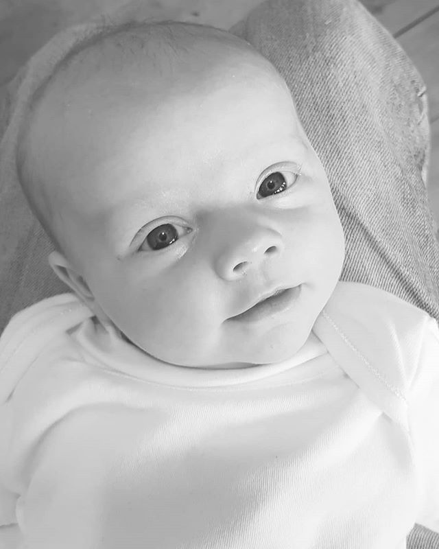 ckdnat's tweet photo. 5 weeks today 🤗 https://t.co/iT3lsP1Yy6