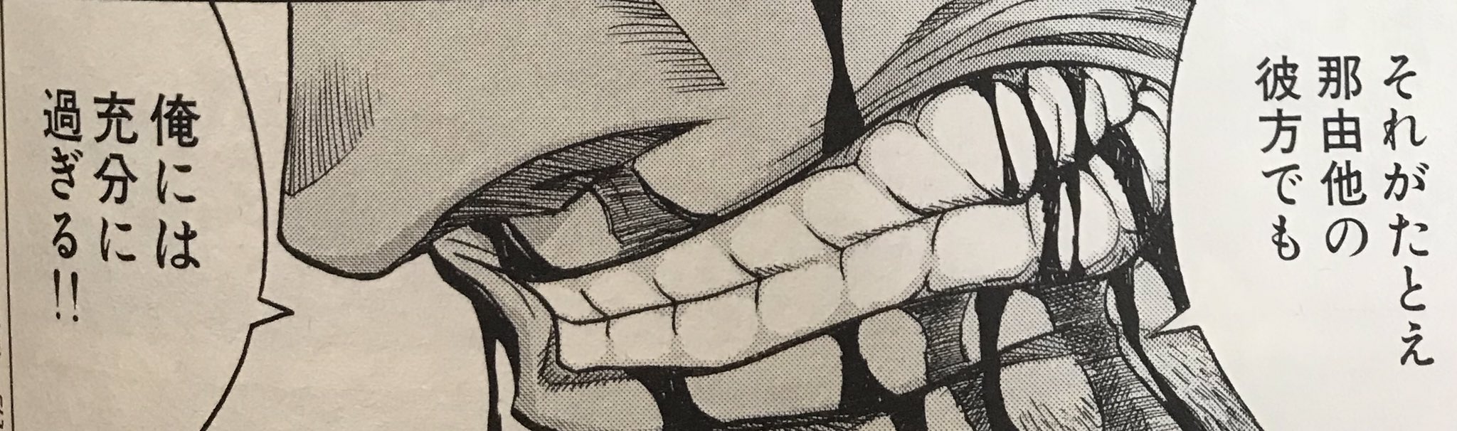 R I P アンデルセン神父 アーカードと少佐に並ぶ名言製造機 武装神父隊と共に死の河に突っ込んで血路を開く姿は主人公にしか見えなかった アーカードからは人間としての強さを絶賛されていたけど 本人は神に仕える単なる 力 になりたかったという