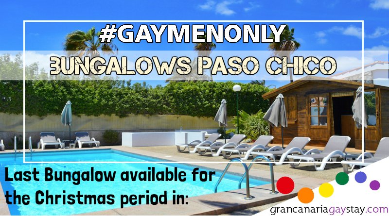 GCgaystay's tweet photo. Planning a trip to #GranCanaria🌴for #Christmas in a #GayHotel? #Book the last available unit in Paso Chico Bungalows with us @GCgaystay, this popular #gaymenonly #hotelgay🏳️🌈 is located near #Yumbo
#Enjoy #Maspalomas #gayvacation🌞#gayeurope #gayspain #greatdestination #gaytour https://t.co/zlOhcDDiZI