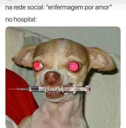 aka_bandida's tweet photo. Uhuam https://t.co/rms2eVP15X