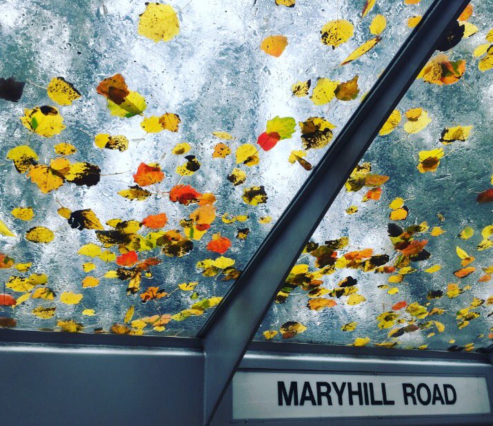 Katie Pope tweet media