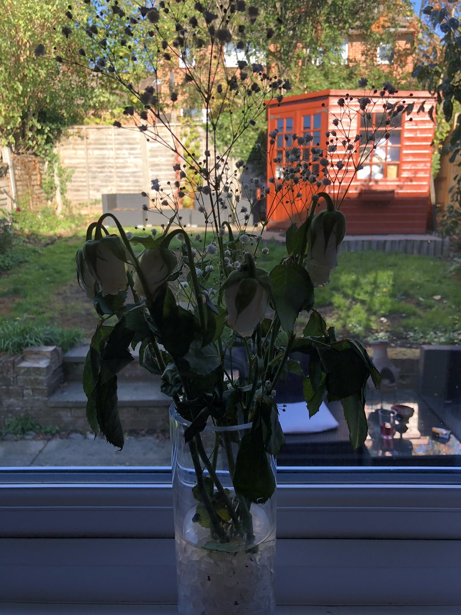 Sara_Cheg's tweet photo. @AsdaServiceTeam so, these were delivered on Friday!!?? https://t.co/q7A8Hggd8h