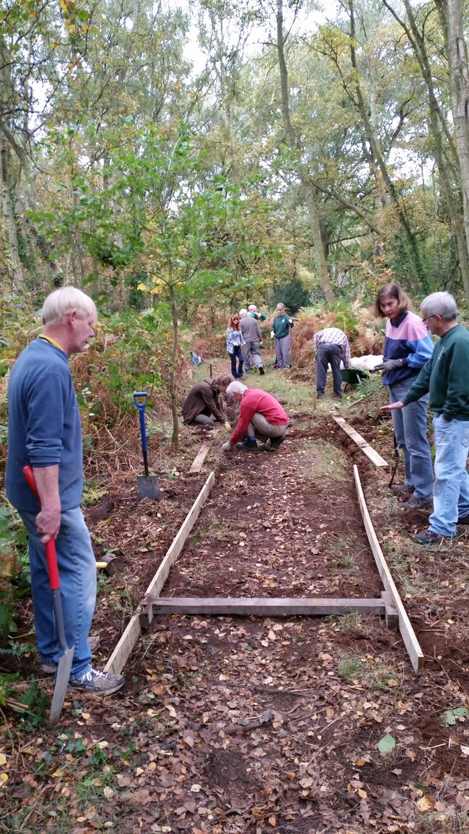 Merseyside_NTV's tweet photo. Continuing the footpath work @NTWirral. Making good progress today. #volunteering #autumn https://t.co/rgJFG5cLrI