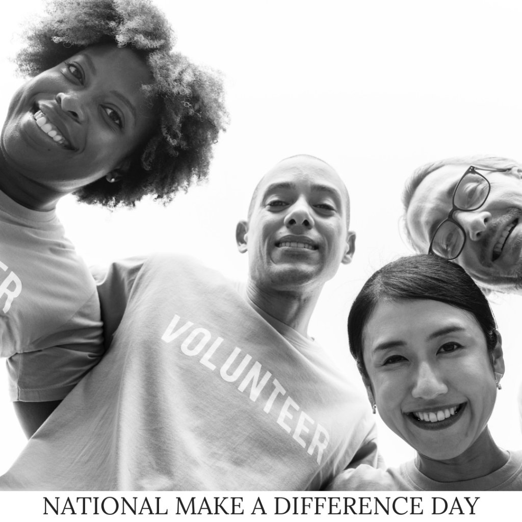 Primrosa tweet media