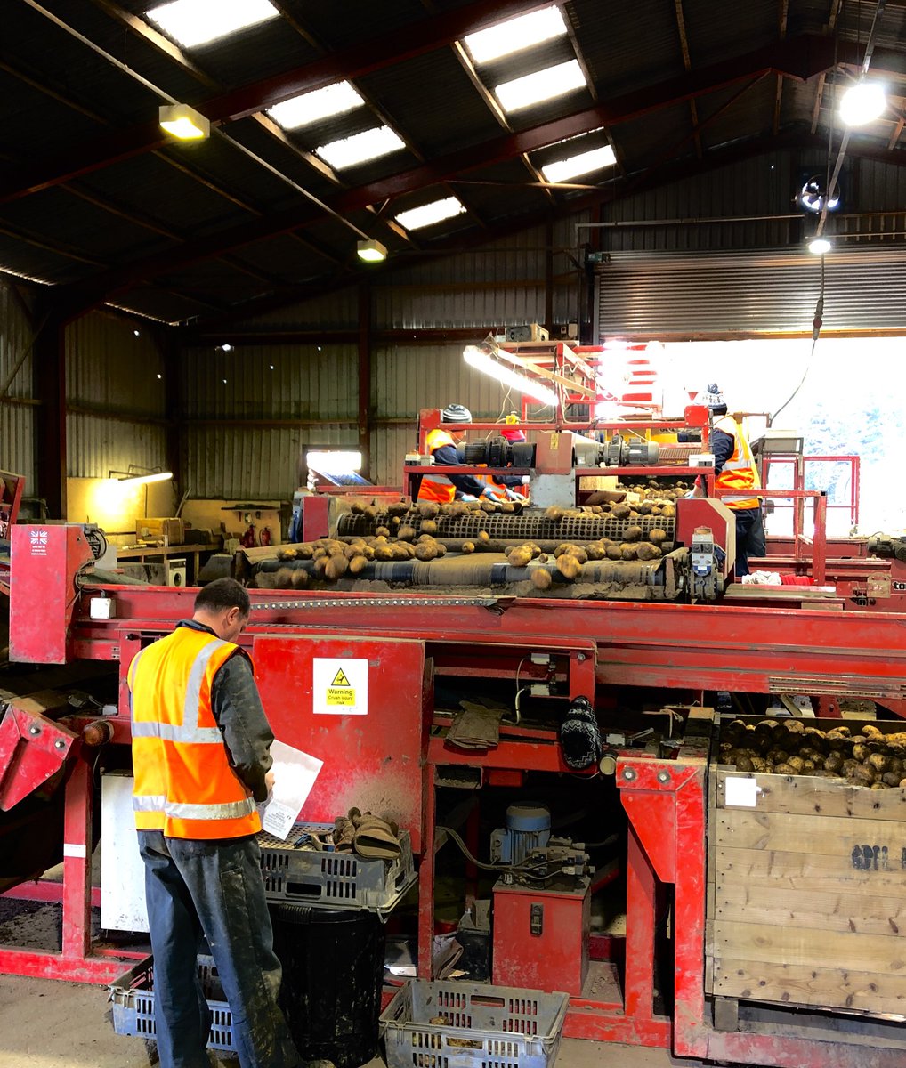 olblackburn's tweet photo. Sunday funday, despite harvester issues #finalpush #Harvest2018 #electra #potatoes #grimme #tong agriculture https://t.co/BLUbEj3Pnq