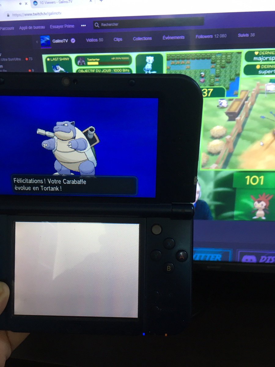 ElrikDark's tweet photo. @GalinoTV @CocoPepS Capturé safari ami pokémon X https://t.co/nnj2nvA93t