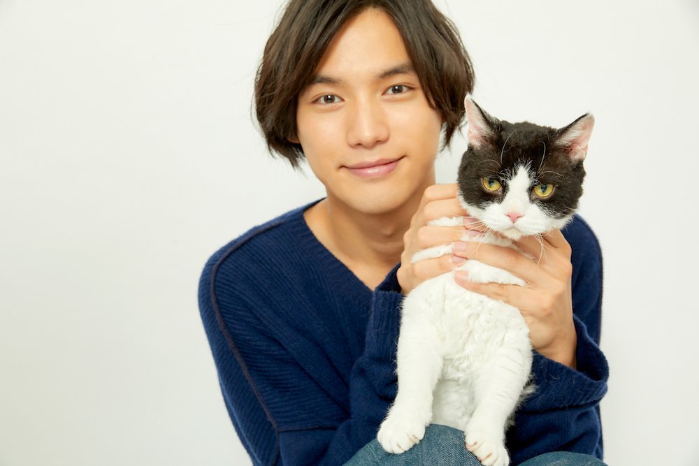 ABEMATIMES's tweet photo. 【映画『旅猫リポート』10月26日公開✨】
福士蒼汰さんのサイン入りチェキを抽選3名様にプレゼント🎁✨
・このアカウントをフォロー＆ツイートRTで応募完了✅
・応募〆切は10月28日迄
#旅猫リポート @tabineko_movie #福士蒼汰 @fukushi_staff 

▼インタビューはコチラ✨
https://t.co/rDg6OZBbkh https://t.co/q7VZdKvLqw