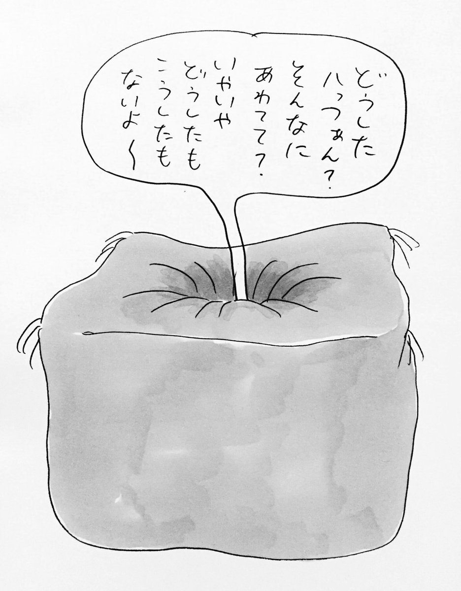 ものすごく分厚くてものすごく柔らかい座布団を使う落語家
#おほまんが 