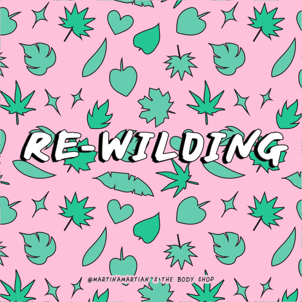 TheBodyShop's tweet photo. With @Koala_Crusaders we aim to plant 12,000 trees and restore over 30 hectares of land in Queensland, AU. Re-wilding this former timber plantation will help the threatened koala population to eventually thrive again in their natural habitat! 🐨 #ReWilding #EnrichNotExploit https://t.co/Urwln7e9EB