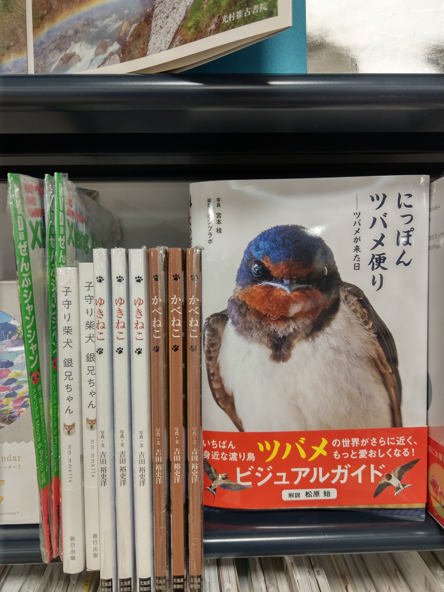 かべねこ Twitter Search Twitter