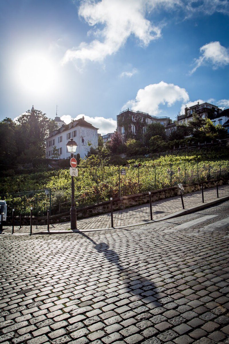 VictorParigi's tweet photo. No, this is not in Bordeaux, but in the equally beautiful district of Montmartre 🌿🍇🍃
#fdvm2018 #montmartre #montmartreparis #montmartreaddict #montmartreforever #paris18 #paris18eme #paris18ème #paris18e #paris #victorparigi https://t.co/5lOcfBbIZe