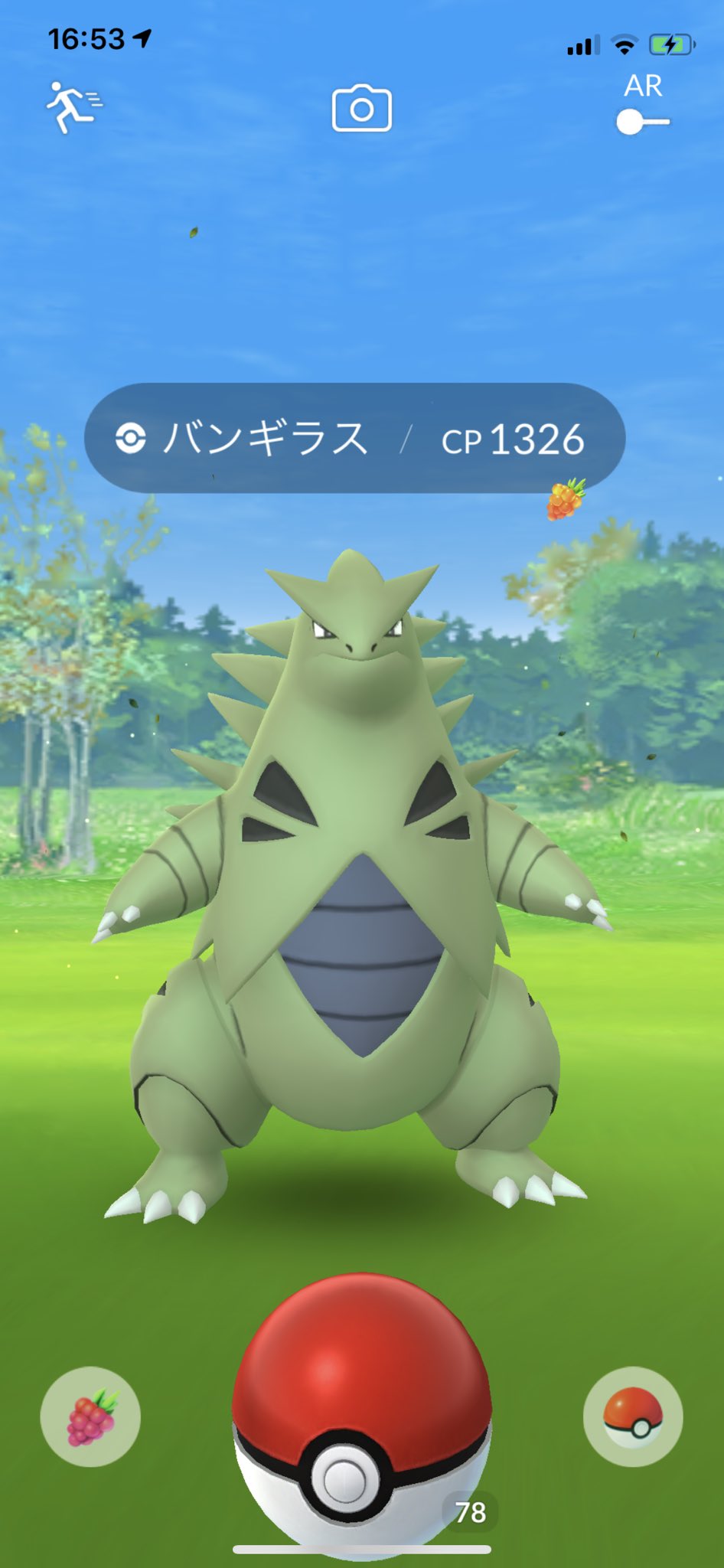 めぐっちゃ 家の前にバンギラスw 野生バンギとかヤバスwww ポケモンgo モジュール 野生バンギラス T Co Ugnjs0fsqt Twitter